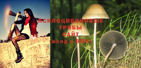 сатива Арсеньев