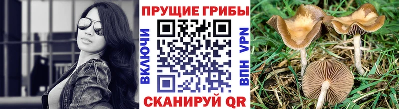Псилоцибиновые грибы мухоморы  что такое   Урень 
